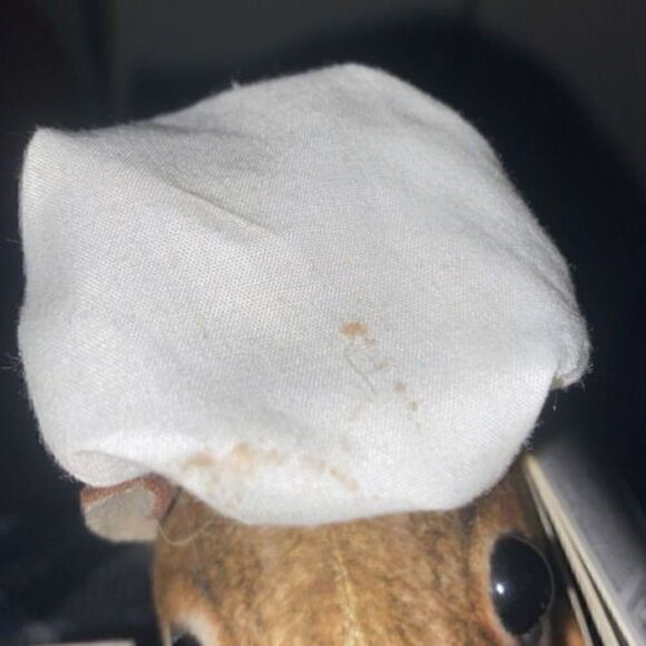 Vintage Grill Master 1987 New Gemmy Hyperreal Magogo Squirrel Hot,Hot.Hot - Picture 8 of 9